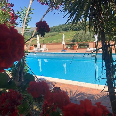 Rea Villa Coltodino Kültér fotó